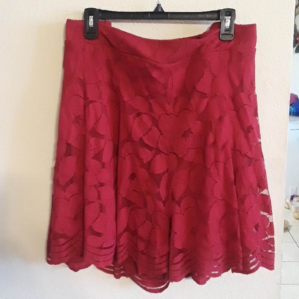 Size 5 Torrid Shorts